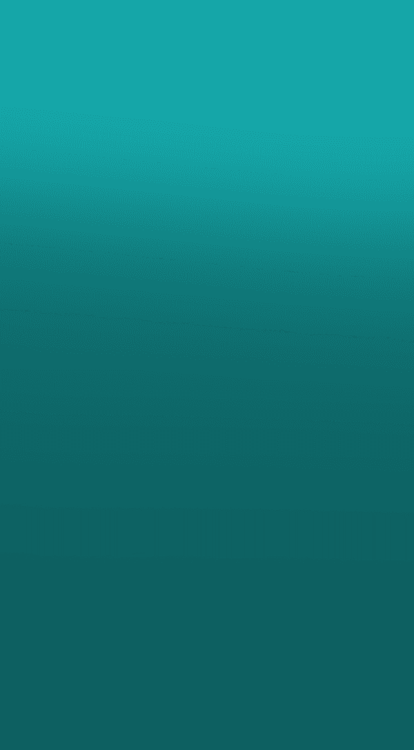 Gestão de <br /> Risco e Rastreamento