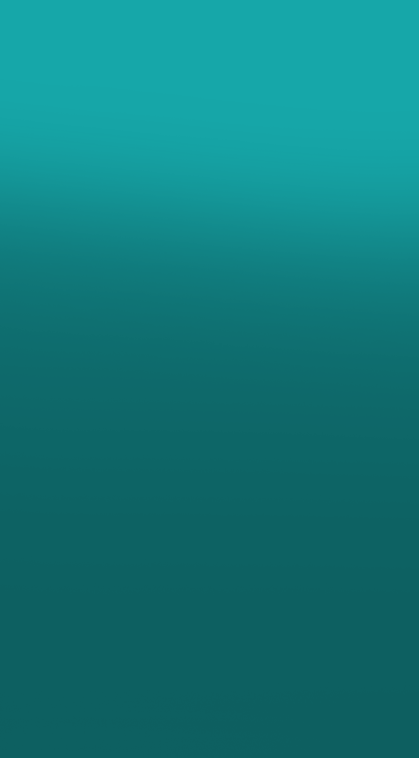 Gestão de <br /> Risco e Rastreamento