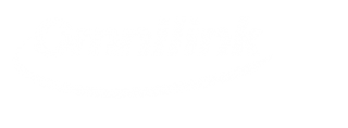https://www.omnilink.com.br/wp-content/uploads/2019/11/logo_omnilink_704_prancheta_negativo4-320x118.png